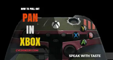 Extracting the Pan from Your Xbox: A Step-by-Step Guide