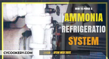 Effective Steps to Safely Purge Ammonia Refrigeration Systems