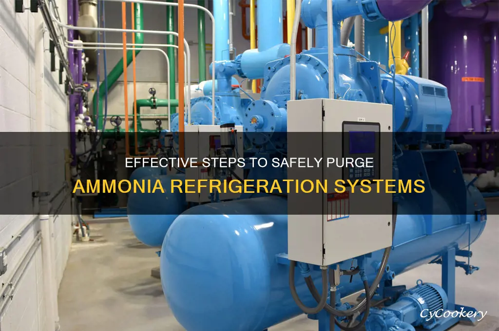 how to purge a ammonia refrigeration system