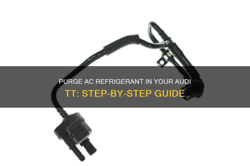 how to purge ac refrigerant audi tt