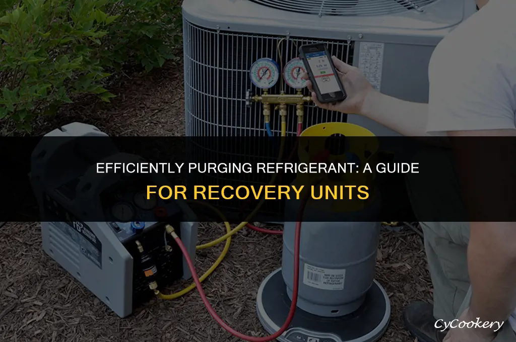 how to purge refrigerant from a recovery unit