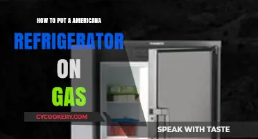 Eco-Friendly Cooling: Converting Your Americana Fridge to Gas Power