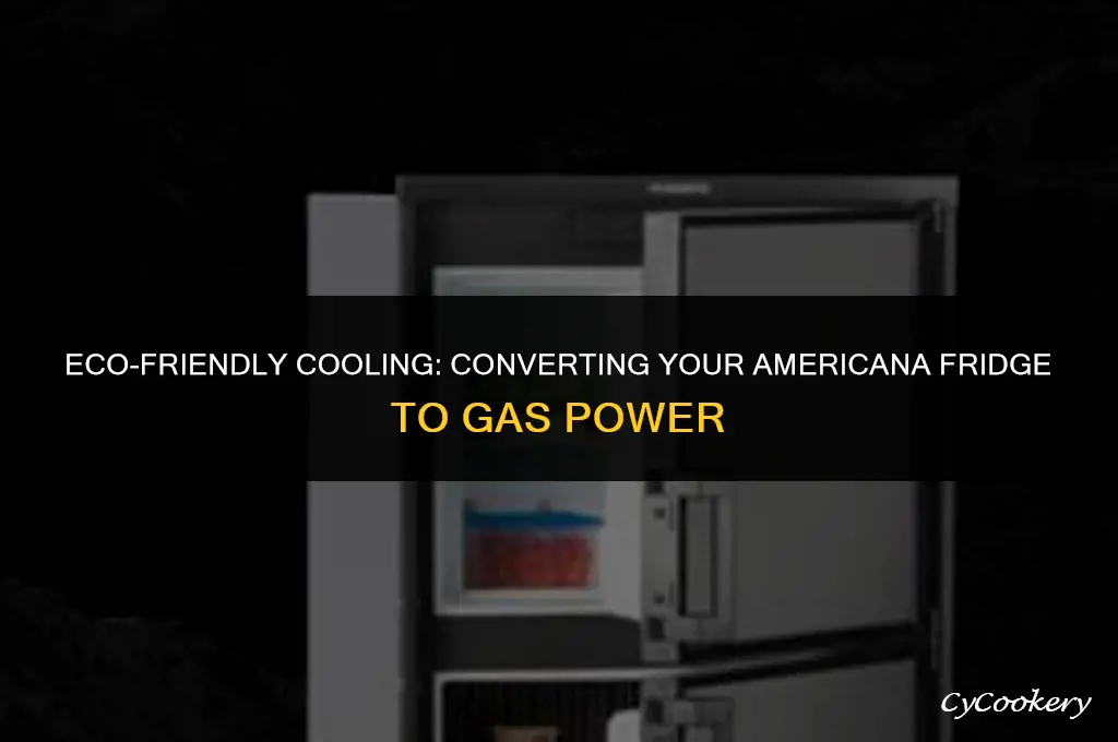 how to put a americana refrigerator on gas