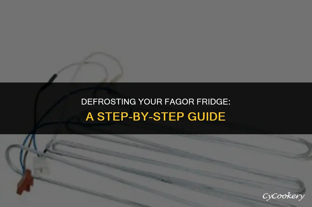 how to put a fagor refrigerator in defrost