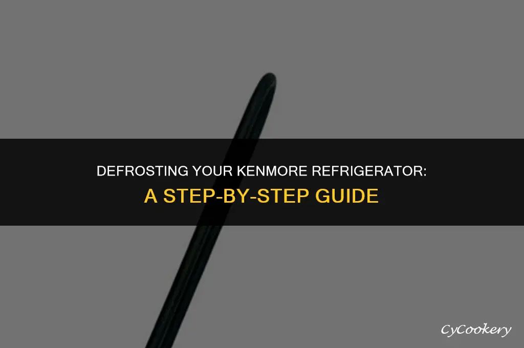 how to put a kenmore refrigerator in defrost mode