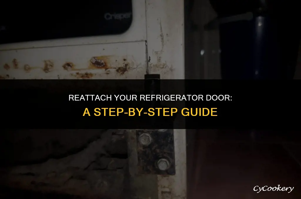 how to put a refrigerator door back on