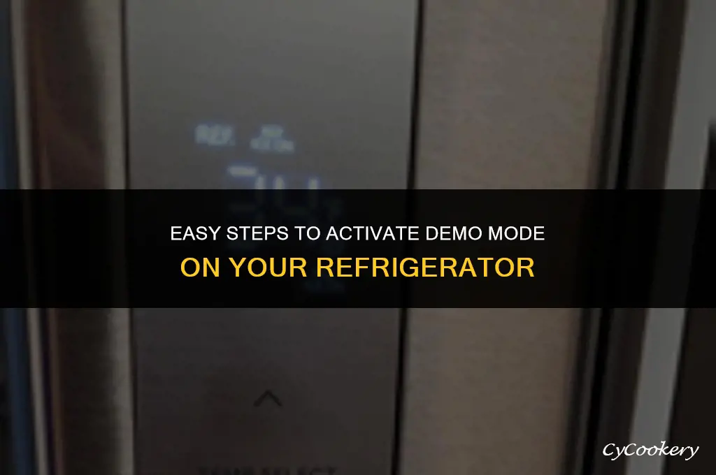 how to put a refrigerator in demo mode