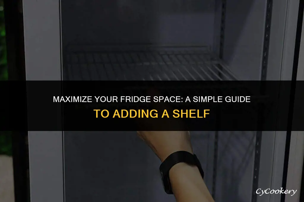 how to put a shelf in a refrigerator