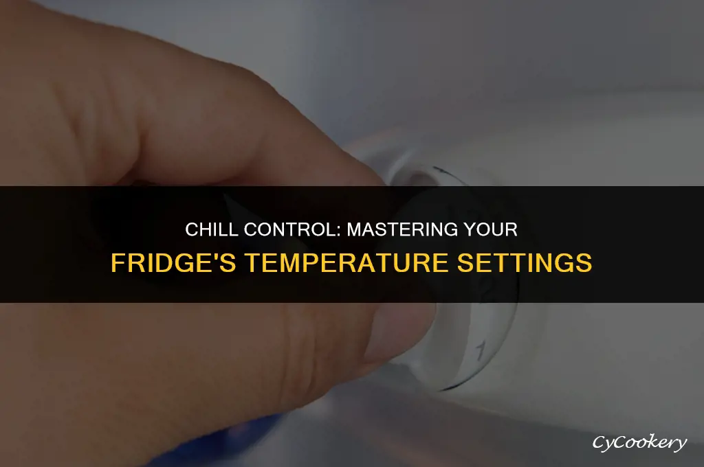 how to put a thermostat in a refrigerator