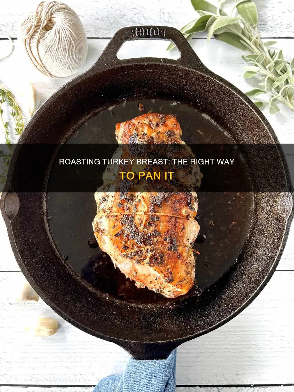 how to put a turkey breast in the pan