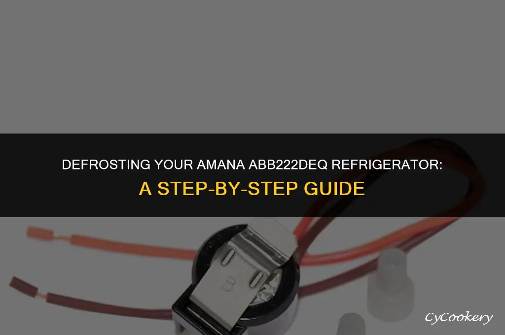 how to put ama na refrigerator abb222deq into defrost