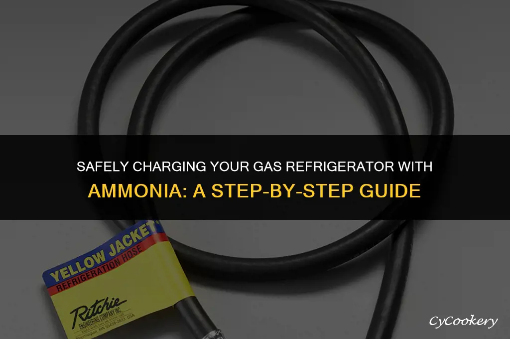 how to put ammonia in a gas refrigerator