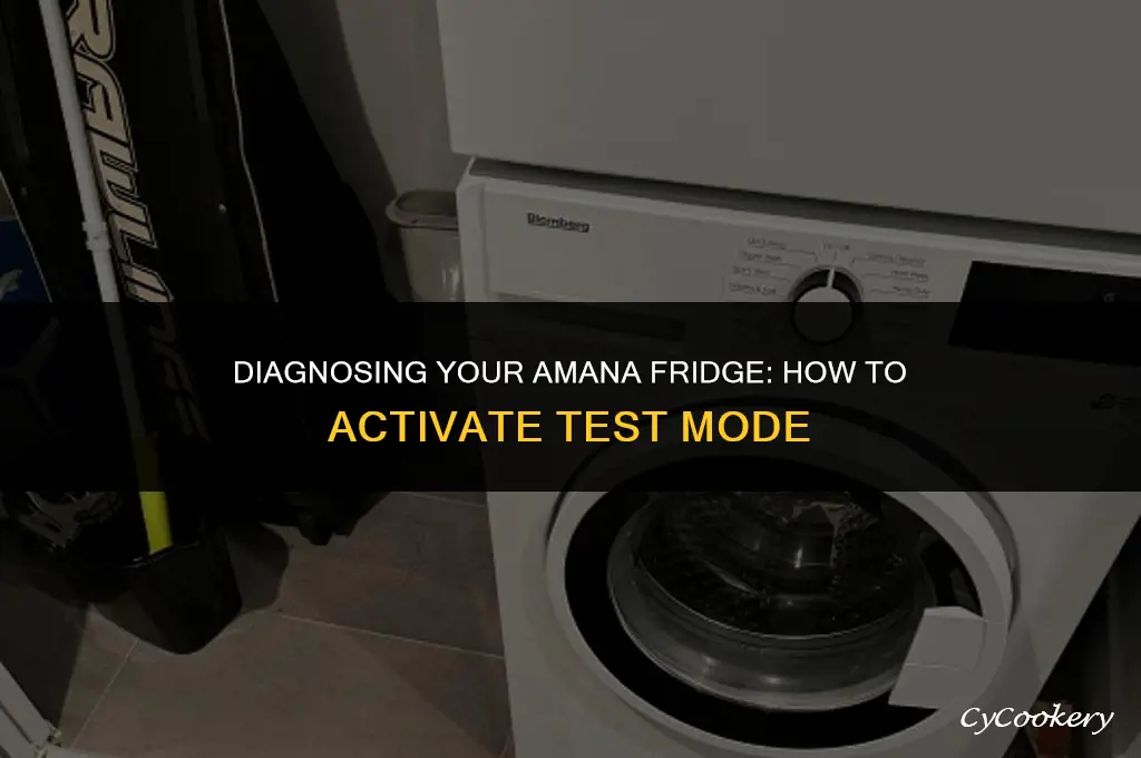 how to put an amana refrigerator into test mode