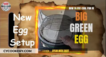 Putting Coal Pan in Big Green Egg