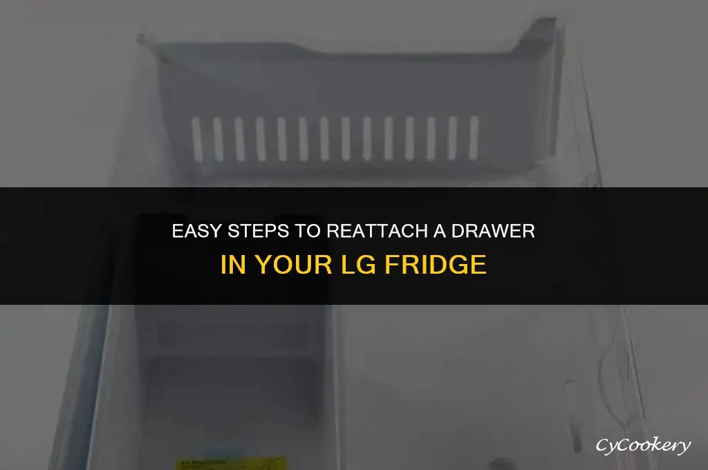 how to put drawer back in lg refrigerator