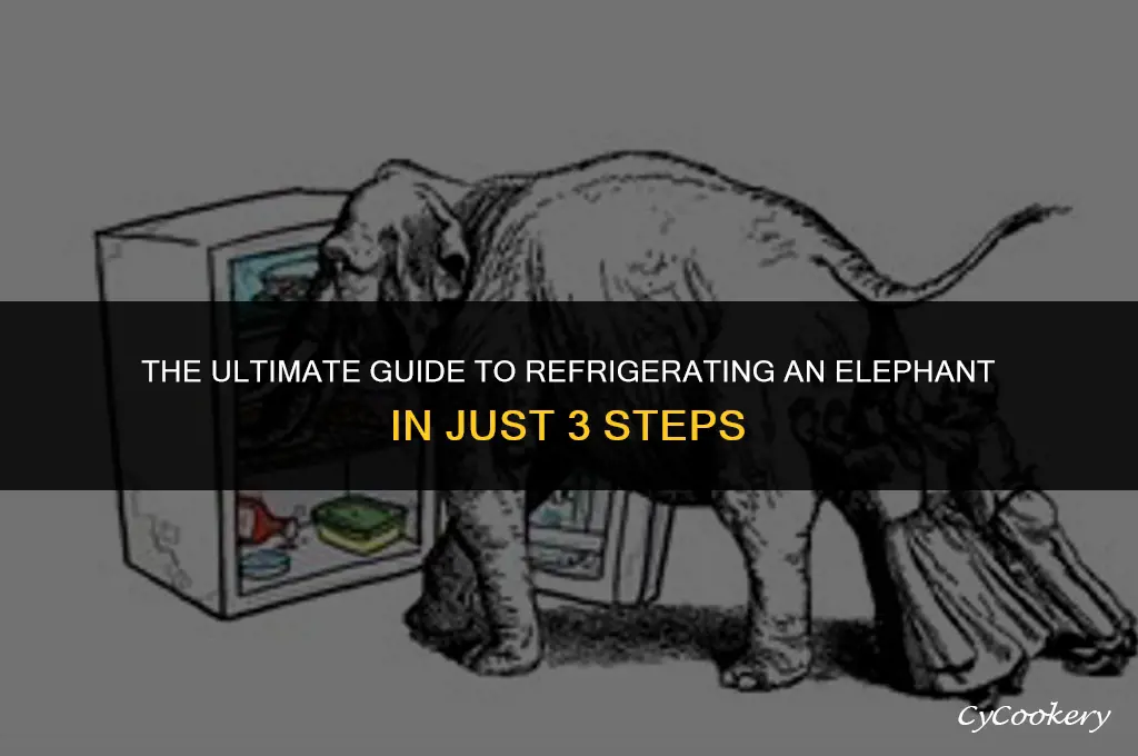 how to put elephant in refrigerator in 3 steps