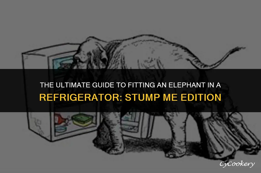 how to put elephant in refrigerator stump me
