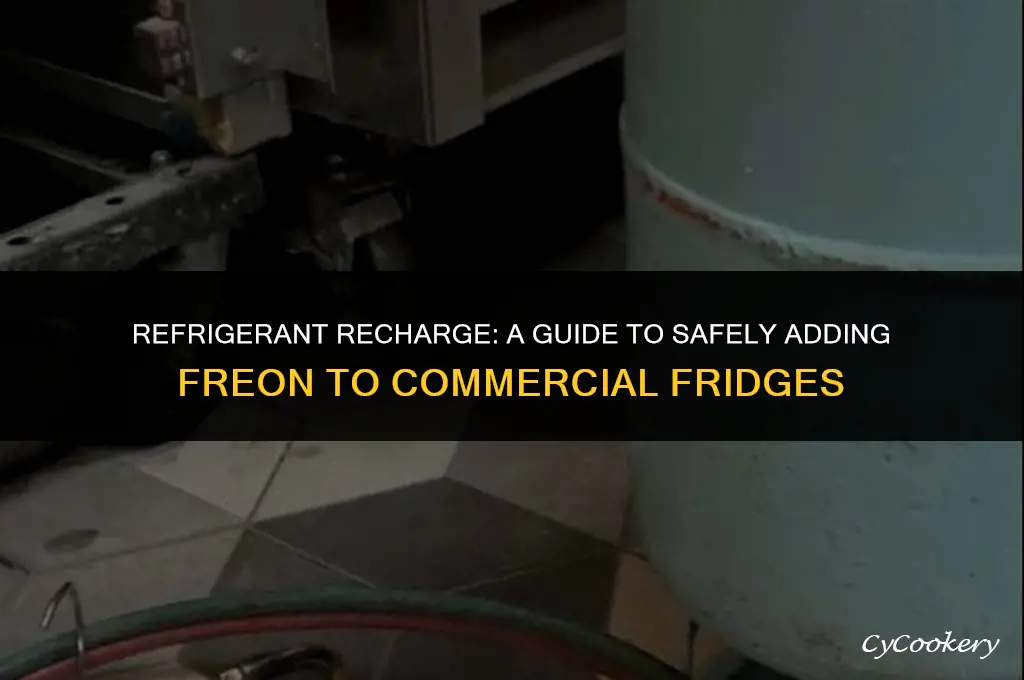 how to put freon in a commercial refrigerator