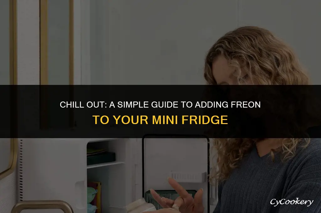 how to put freon in a mini refrigerator