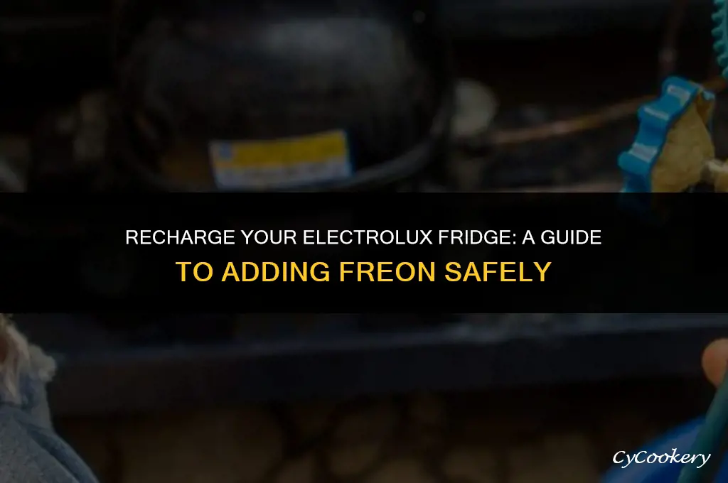 how to put freon in an electrolux refrigerator