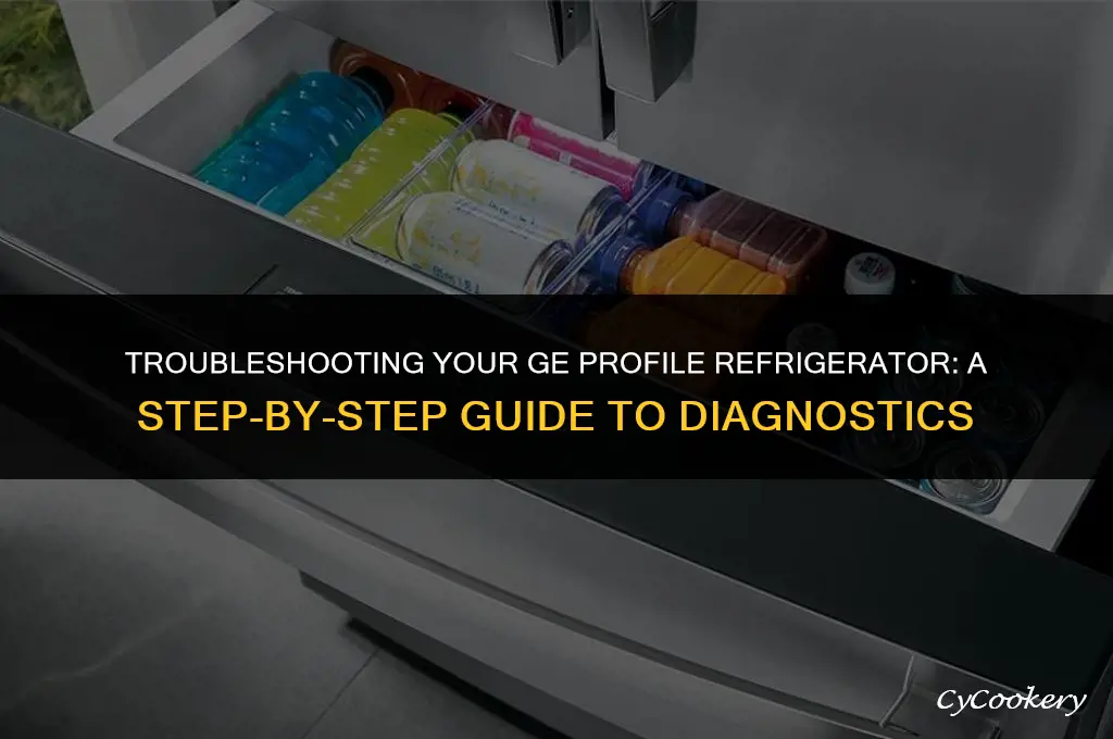 how to put ge profile refrigerator into diagnostics pfe29psdass