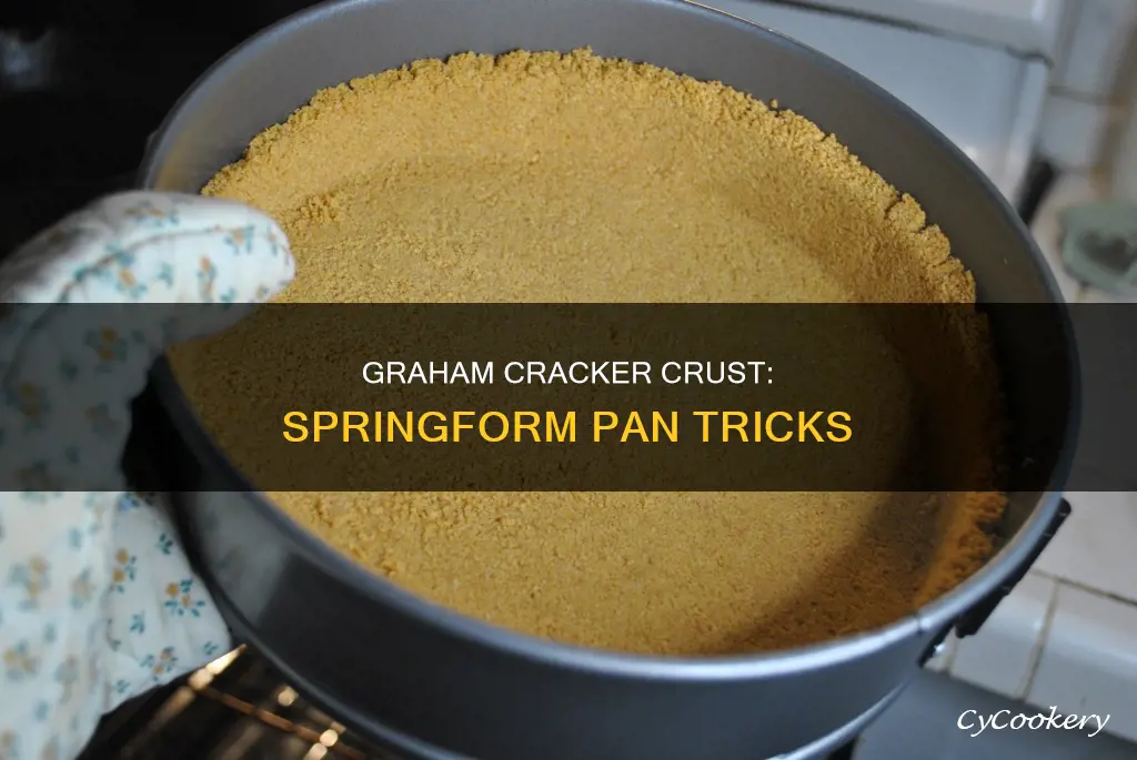 how to put graham cracker crust in springform pan