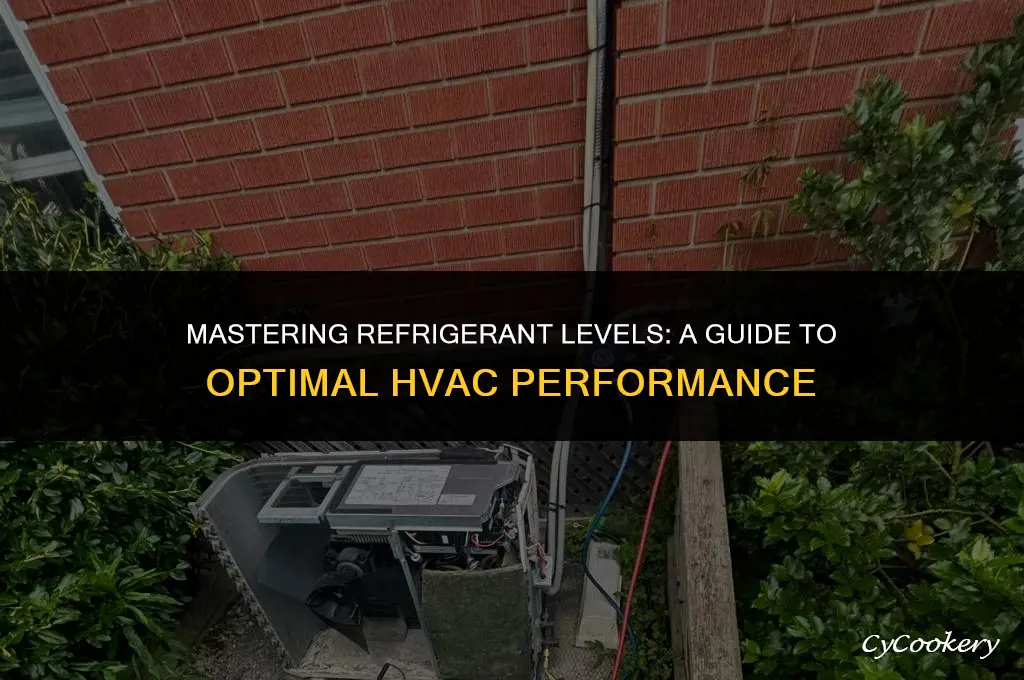 how to put in the right amount of refrigerant