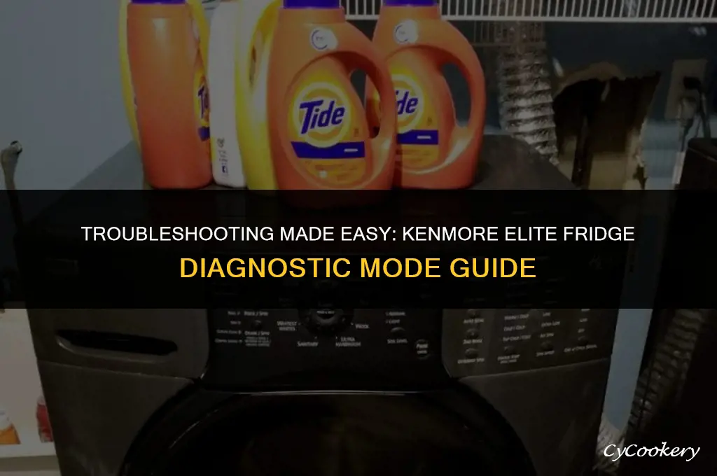 how to put kenmore elite refrigerator in diagnostic mode