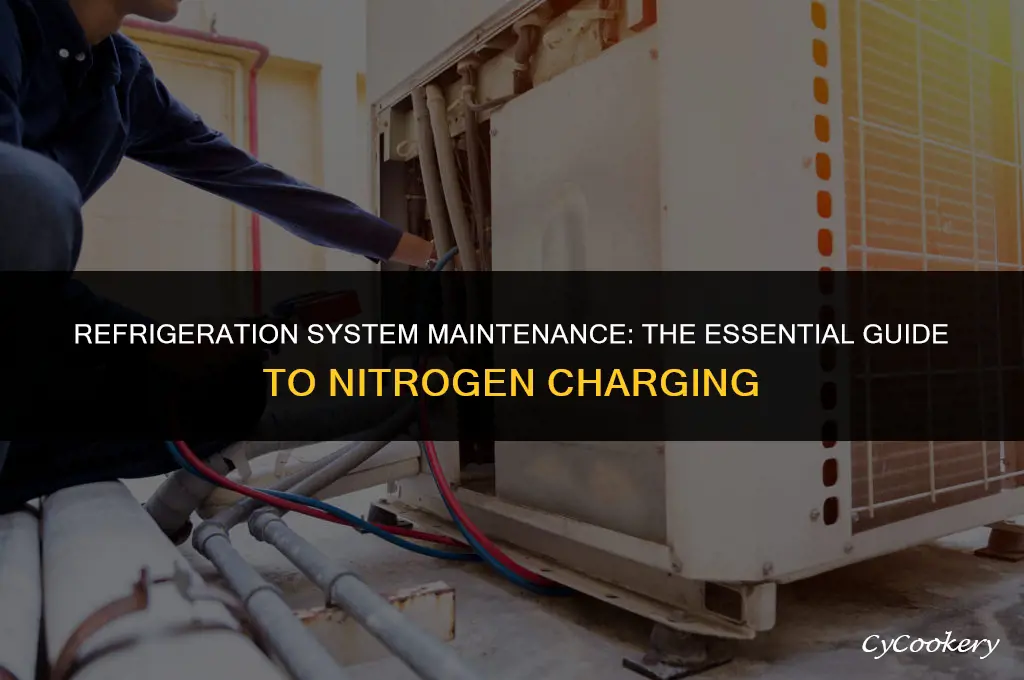 how to put nitrogen in a refrigeration system