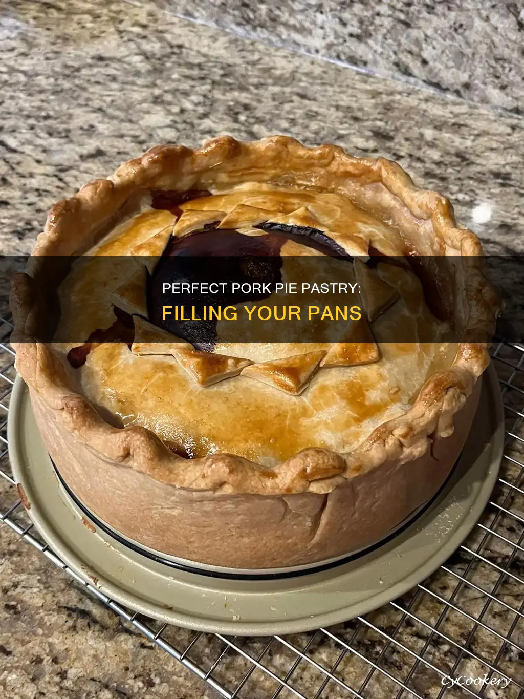 how to put pork pie pastry recipie in pans