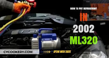 Refrigerant Refill Guide: 2002 ML320 AC Recharge Step-by-Step