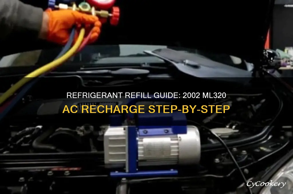 how to put refrigerant in 2002 ml320