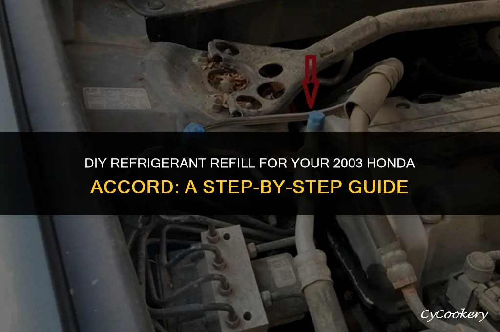 how to put refrigerant in 2003 honda accord
