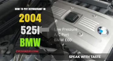 Refrigerant Recharge Guide for 2004 BMW 525i: DIY Steps