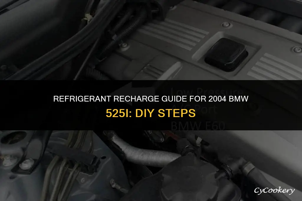 how to put refrigerant in 2004 525i bmw