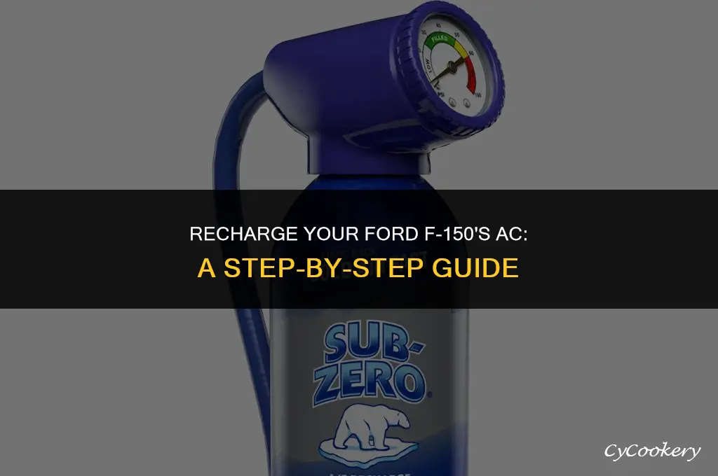 how to put refrigerant in a ford 150