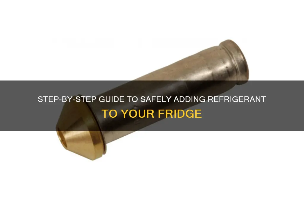 how to put refrigerant in a fridge