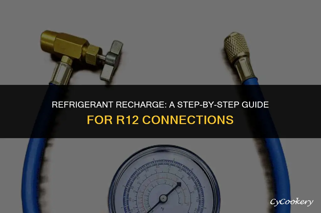 how to put refrigerant in a r12 connection