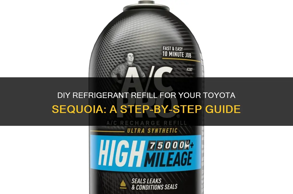 how to put refrigerant in a toyota sequoia