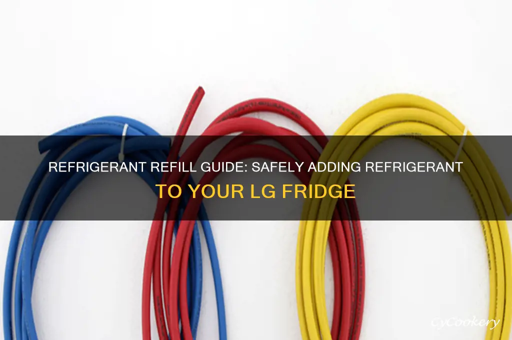 how to put refrigerant in lg refrigerator