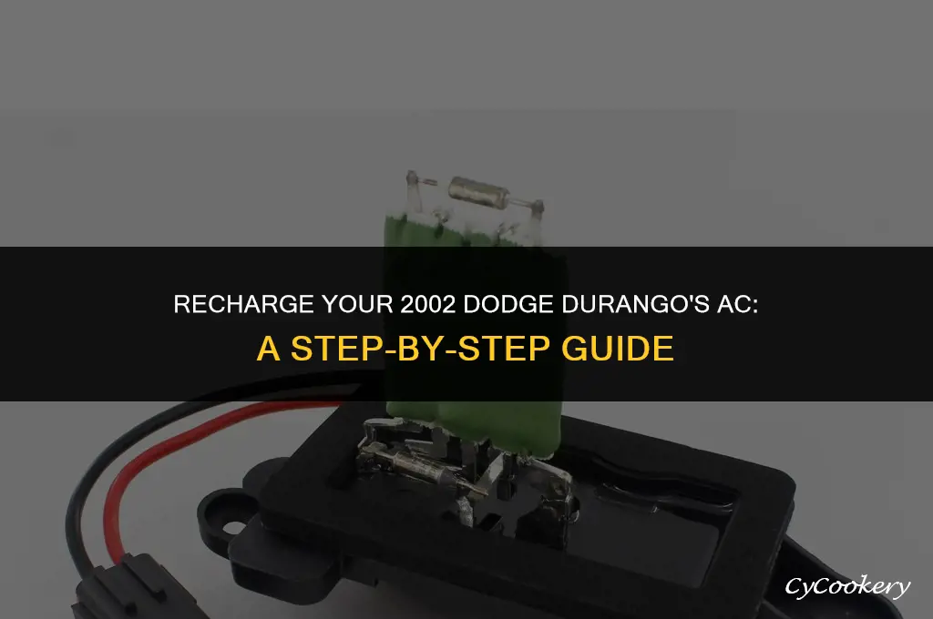 how to put refrigerant in my 2002 dodge durango