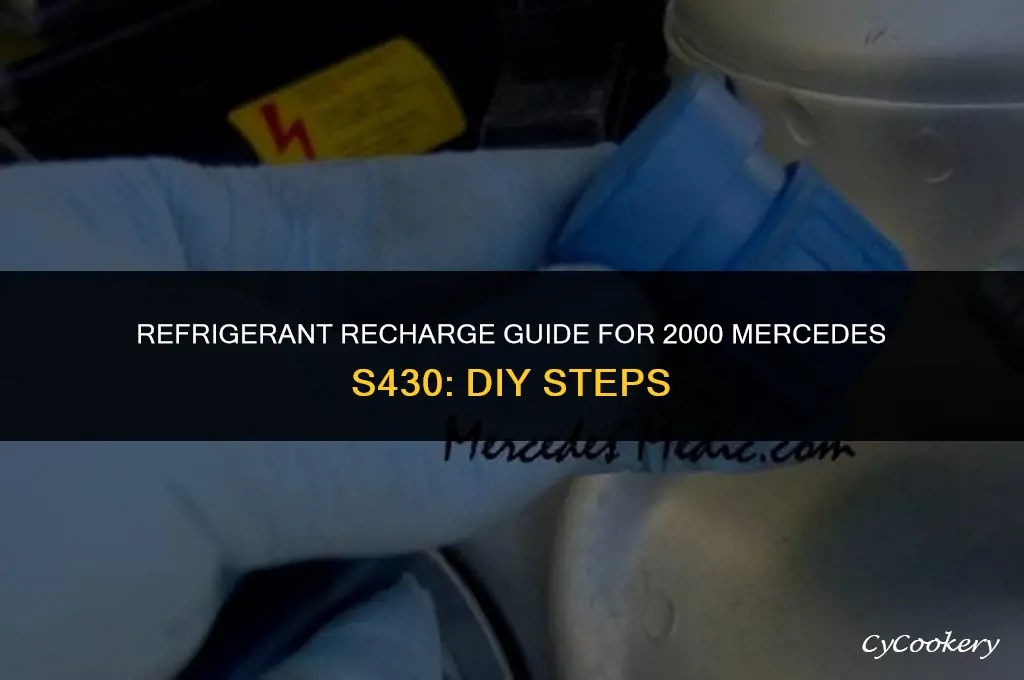 how to put refrigerant into a 2000 mercedes s430