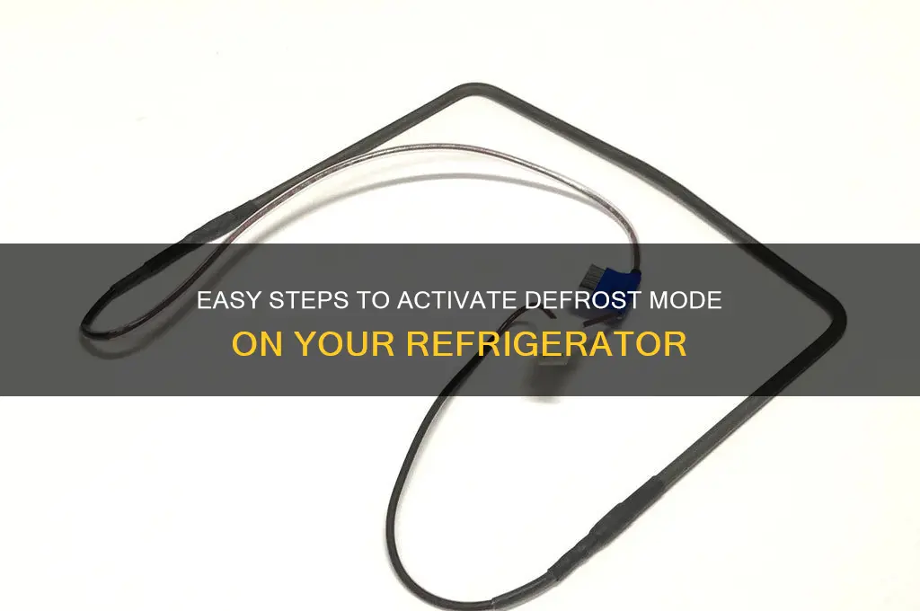 how to put refrigerator in defrost mode