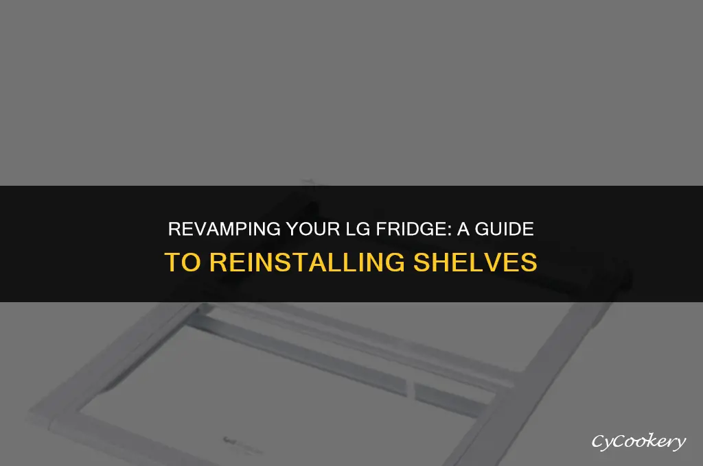 how to put shelves back in lg refrigerator