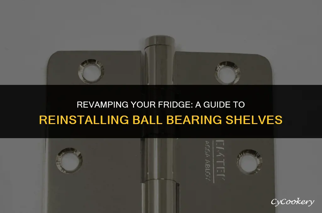 how to put shelves back in refrigerator ball bearing