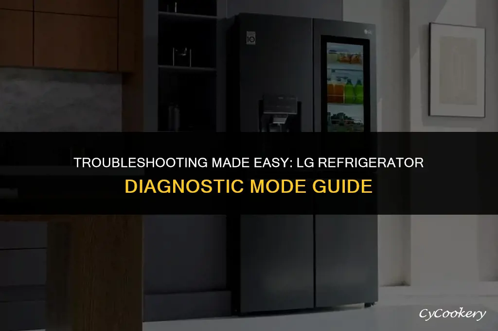 how to put the lg refrigerator in diagnostic mode