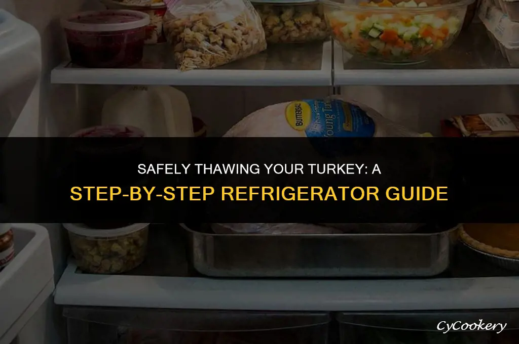 how to put turkey in refrigerator to thaw