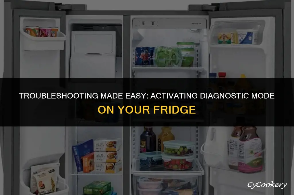 how to put your refrigerator in diagnostic mode