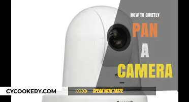 Silently Panning Camera Techniques: Tips for Stealthy Shooting