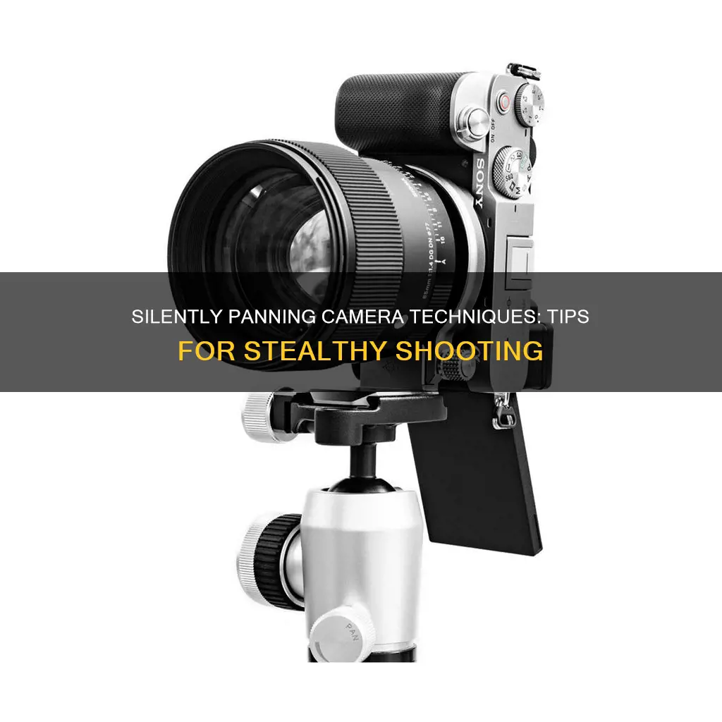 how to quietly pan a camera